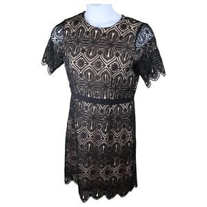 Chelsea28 Black Lace Sheath Cocktail Dress XL Nude Lined Scalloped Hem